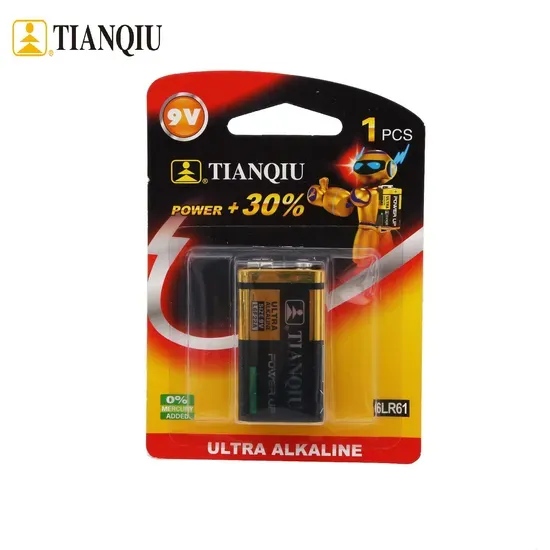 9V Alkaline Battery 6LR61 — Smoke Alarm & Multimeter Cell